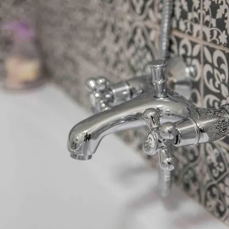 Jitkovsky Mlyn アパート *