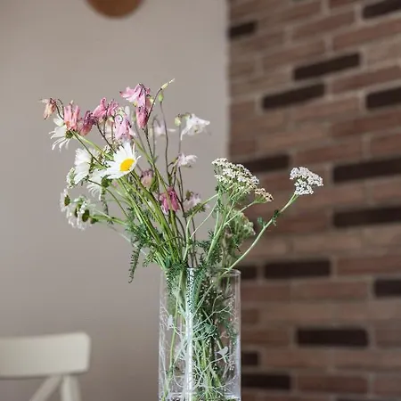 アパート Jitkovsky Mlyn *