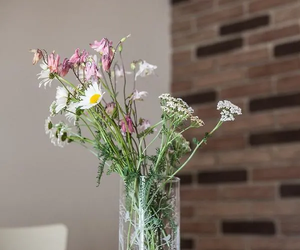 Appartamento Jitkovsky Mlyn *